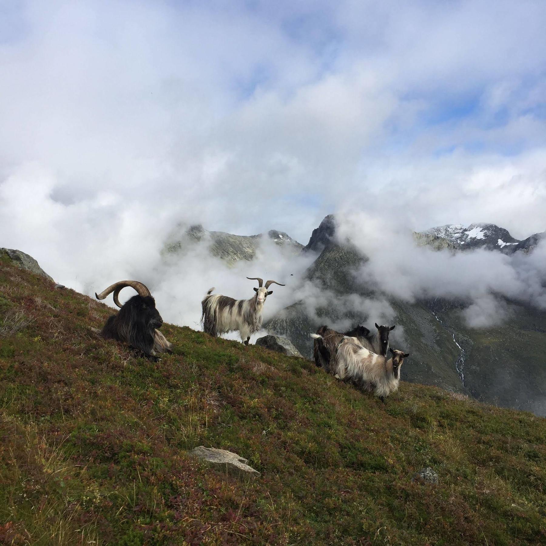 Rosendal Turisthotell Exteriér fotografie